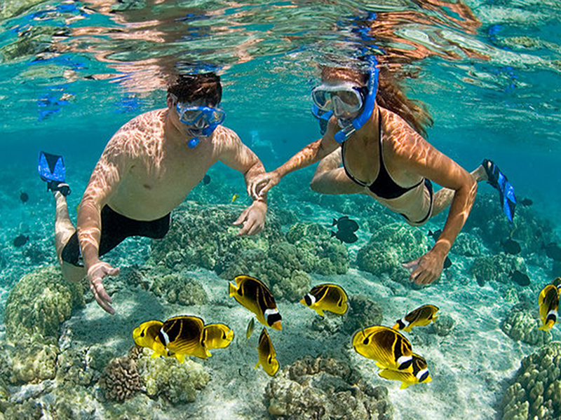 bigislandsnorkelspots11