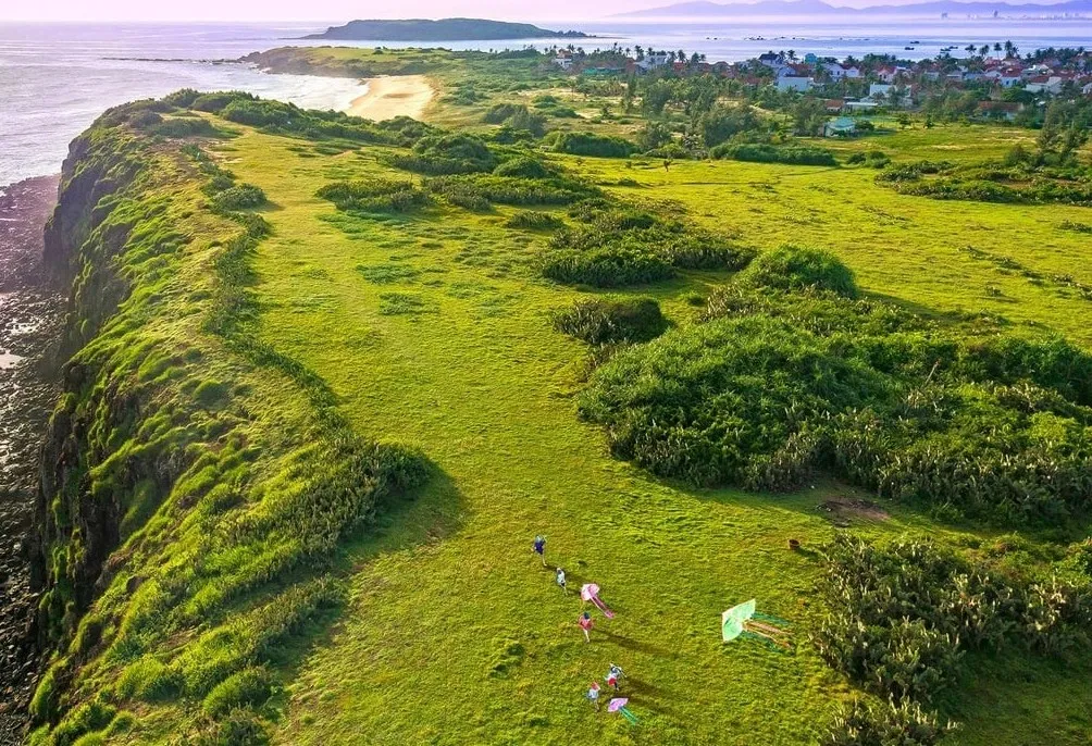 Vẻ đẹp bình yên của xứ sở hoa vàng trên cỏ xanh