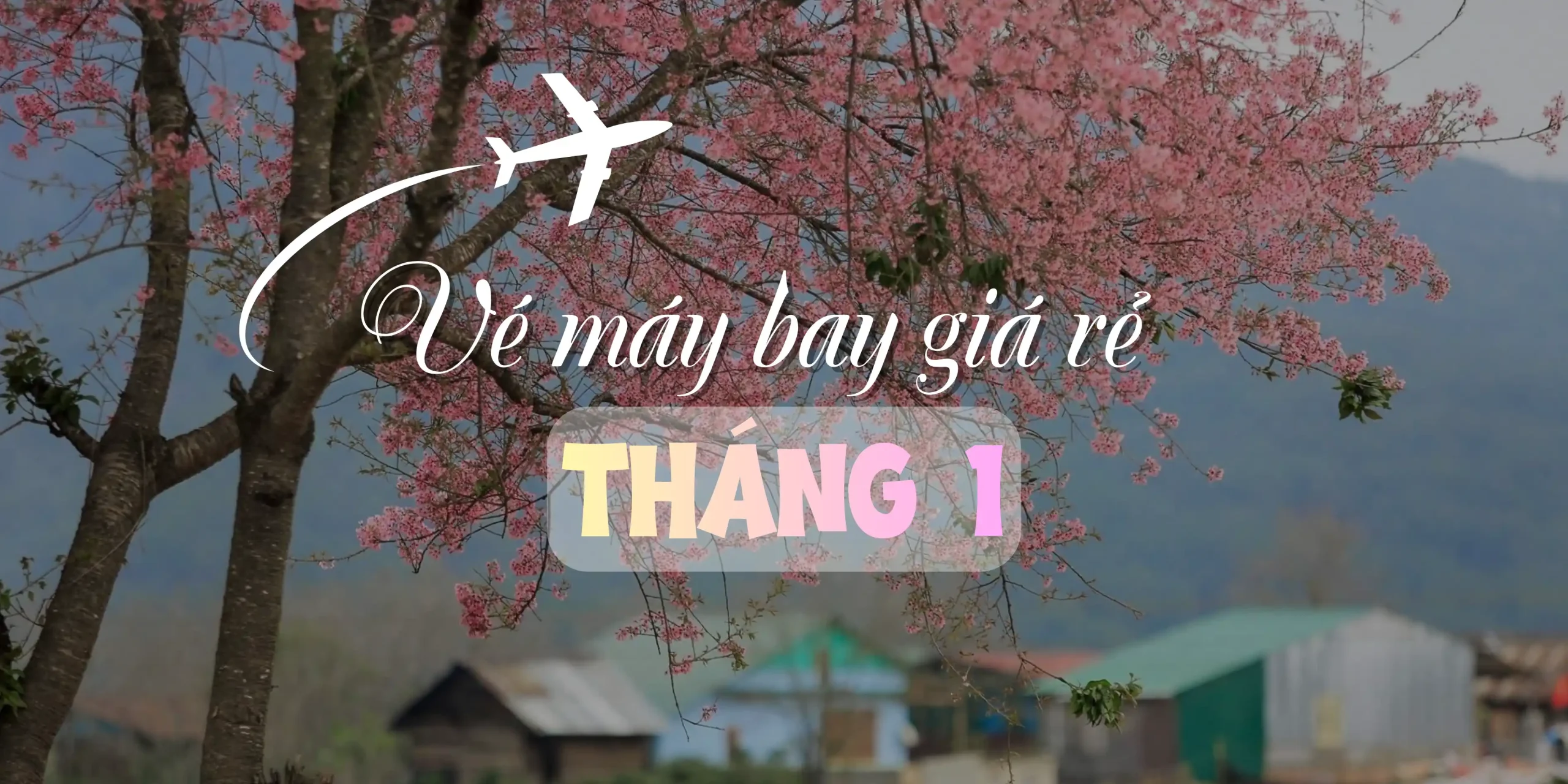 Đặt vé máy bay giá rẻ tháng 1 tại timchuyenbay.com.vn