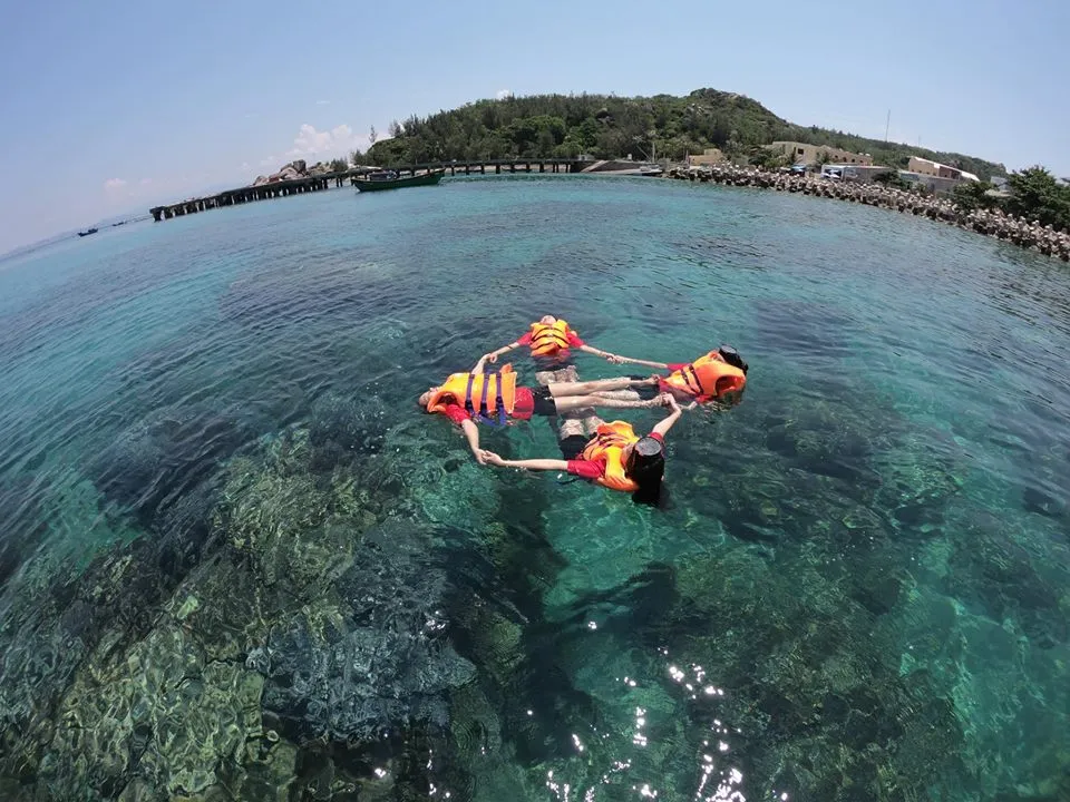 Trải nghiệm lặn ngắm san hô tại Cù lao xanh