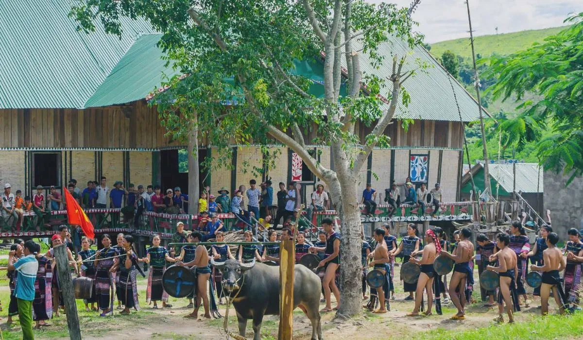 Lễ hội đâm trâu là biểu tượng thiêng liêng của đồng bào Tây Nguyên