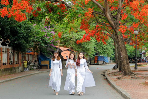 Hải phòng cháy rực phượng đỏ