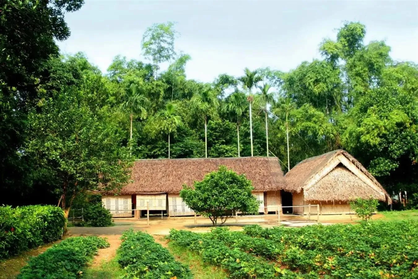 Tham quan làng Sen quê Bác, nơi Bác sinh ra và lớn lên