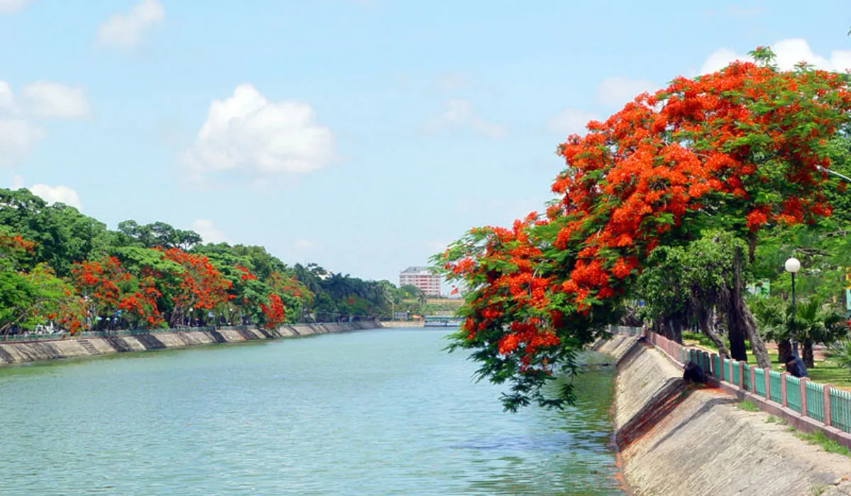 Hải Phòng vào mùa hè với nắng vàng ươm và vẻ đẹp rạng rỡ của hoa phượng đỏ