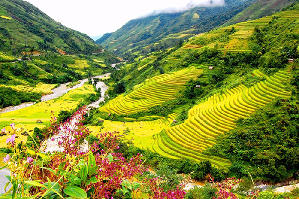 Vé máy bay giá rẻ đi Sa Pa