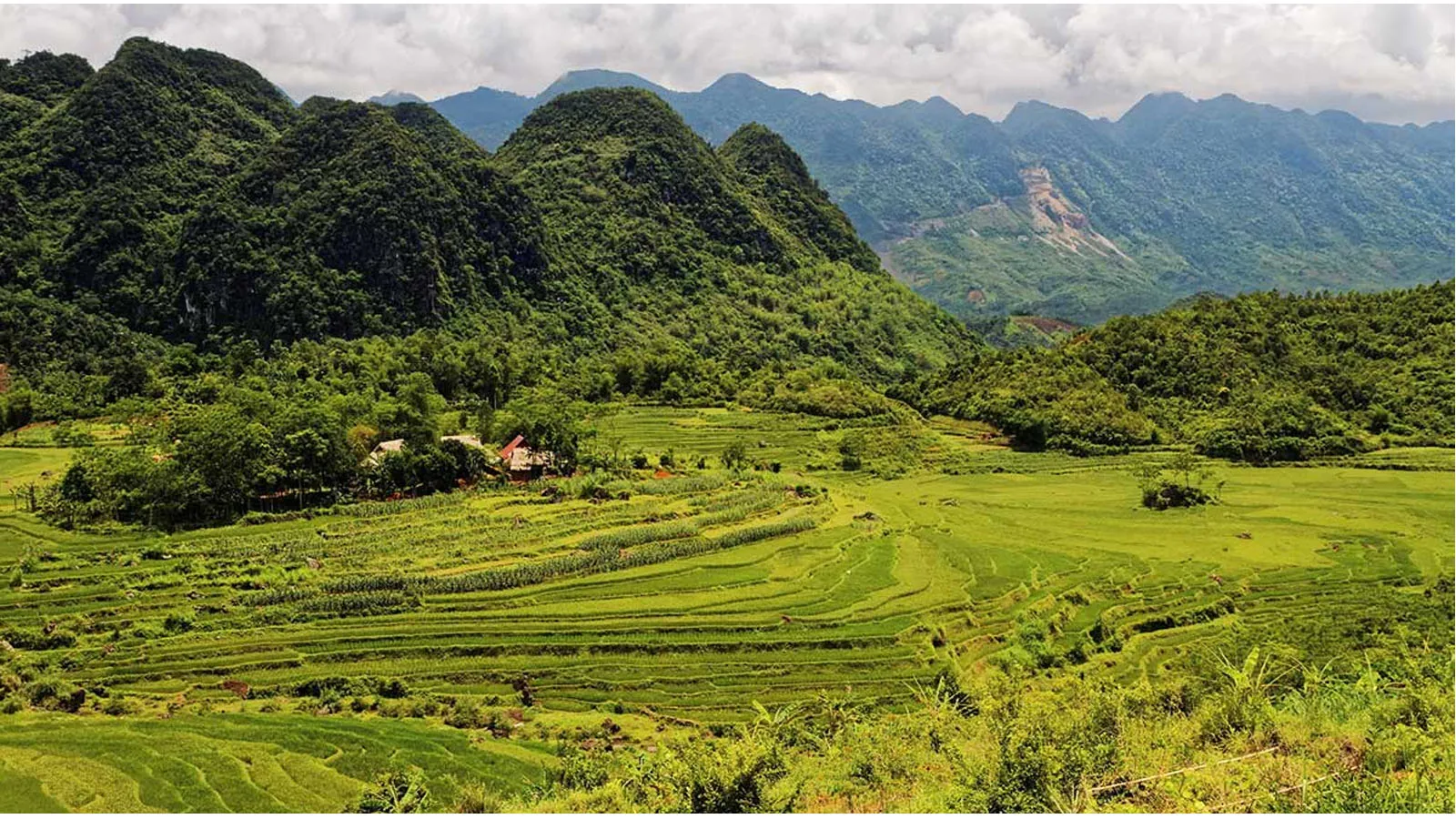 Viên ngọc xanh Pù Luông với vẻ đẹp như tranh của đồng lúa xanh ngát
