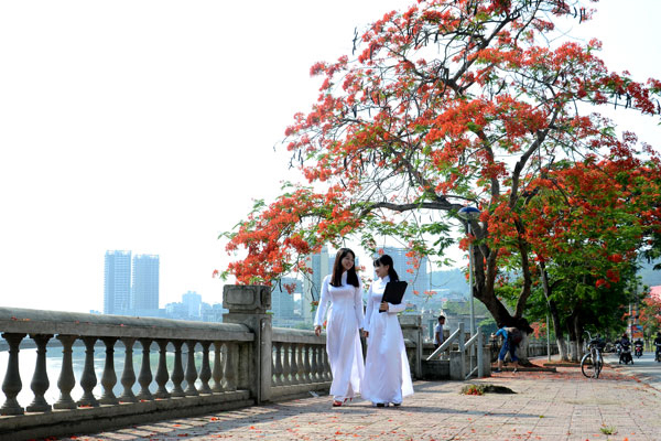 Vé máy bay khuyến mãi đi Hải Phòng
