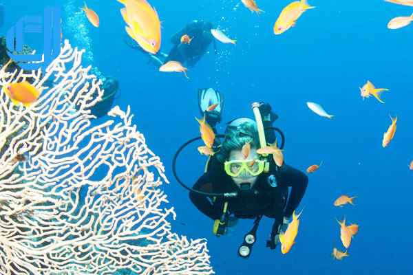 Đảo Hòn Tằm