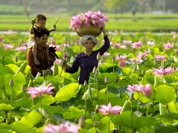 Đồng Tháp