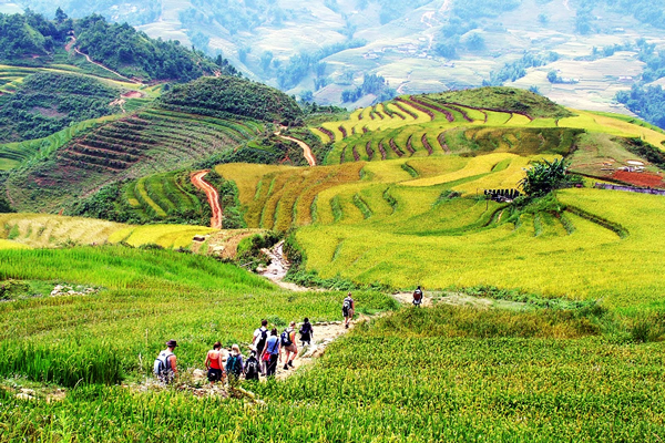 Vé máy bay Vietnam Airlines tháng 4 giá rẻ chỉ từ 400.000 đồng