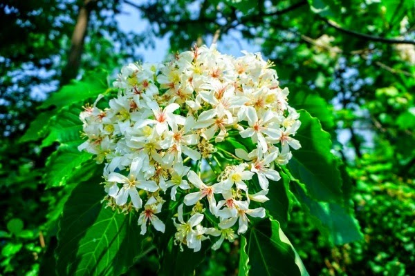 Tháng 4 nên du lịch ở đâu?
