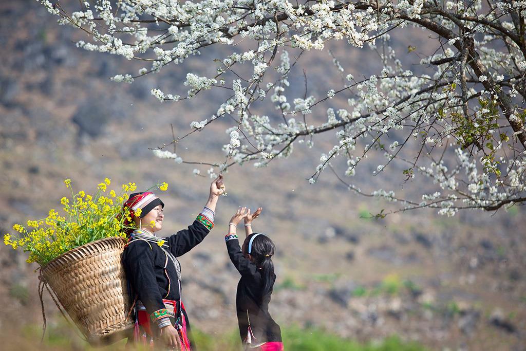 Tháng 2 nên du lịch ở đâu?