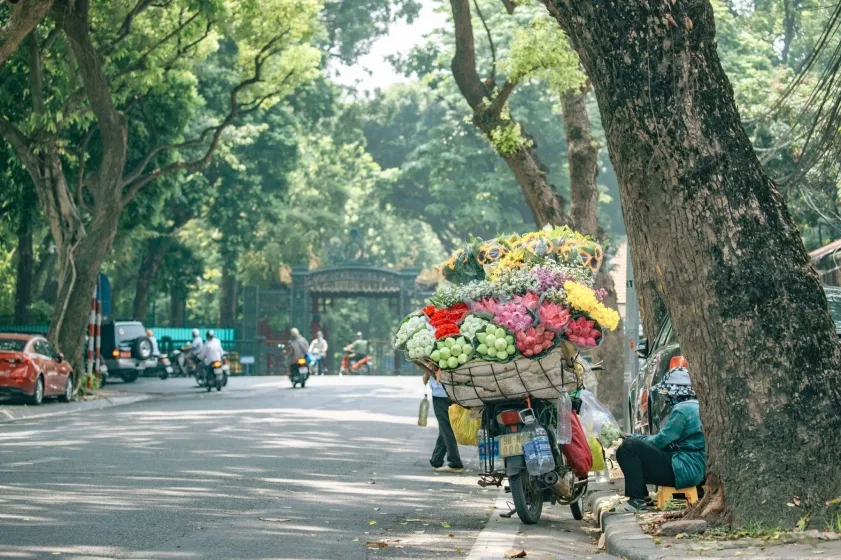Hà Nội ngày thu dễ dàng bắt gặp những gánh xe hoa ngập màu sắc