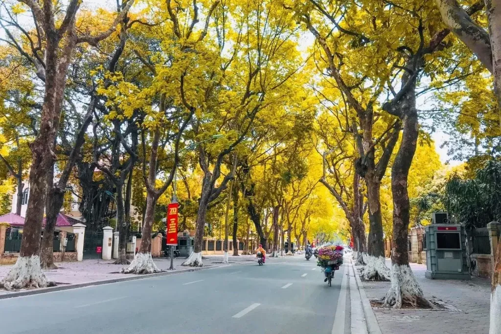Hà Nội tháng 8 bước vào mùa thu nhẹ nhàng, lãng mạn