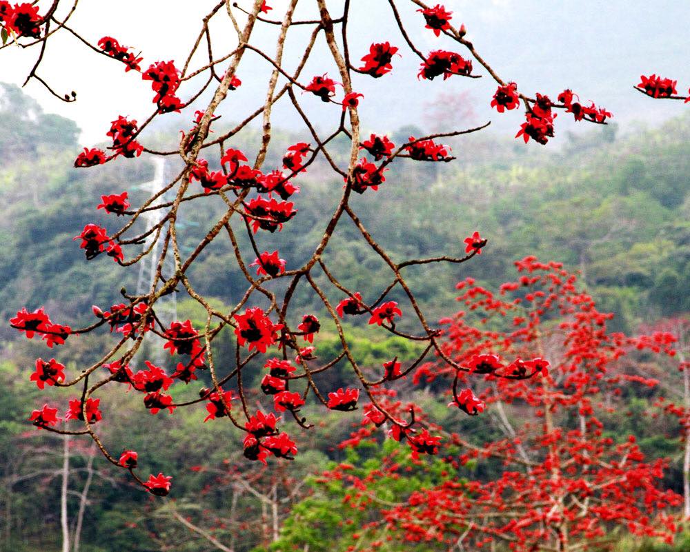 Vé máy bay giá rẻ tháng 4