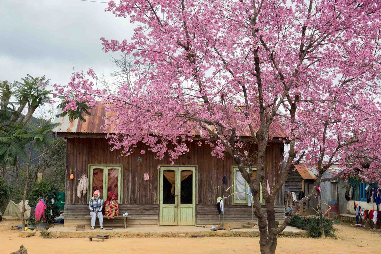 Vé máy bay giá rẻ tháng 1