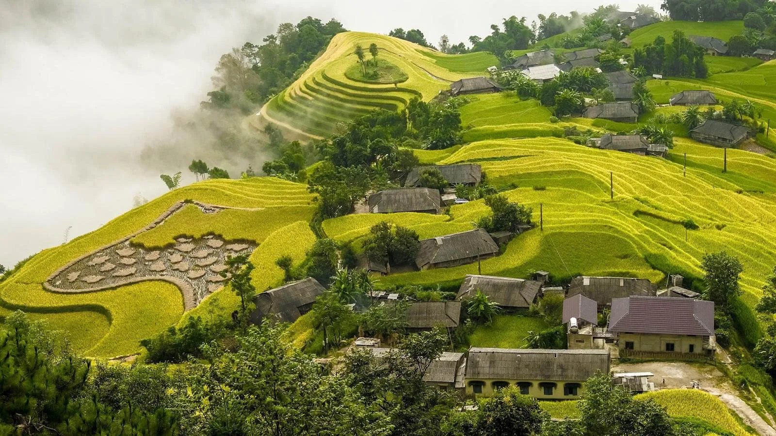 Vé máy bay giá rẻ tháng 8